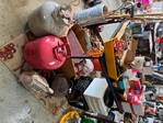 Hidden Treasures Estate Sale