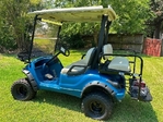 2011 Yamaha  Drive - Electric