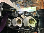 Mercury 40