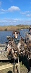 Duck Blind for lease