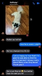 >🐶 Adorable Shih Tzu Puppies – Ready 10/7/25 (Nederland, TX)