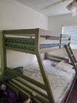 Single over double bunk bed $350 obo