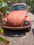 1971 Volkswagen  Beetle