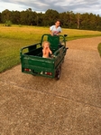2026 mini golf cart