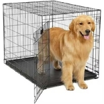 New dog cages