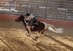 APHA Finished Barrel/Pole Mare
