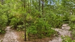 RV PARK AT LAKE SAM RAYBURN