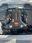 Chaparral Sunesta 224