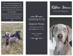 CKC Weim Puppies