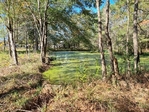 2.3 ACRE FOR SALE