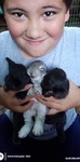 TAMUK Rabbits $10 Off Bucks