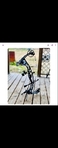 Hoyt alpha x 33