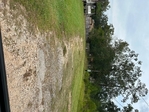 Golden Lanes Lots for sale