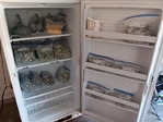Freezer