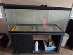 Two 75 gallon fish tanks for sale with stands.