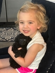 Small Poodle Pup! Best Mother’s Day Gift!