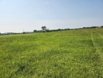 10 acres cleared land