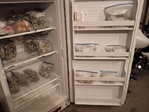 Freezer