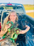 AKC Lab Puppies