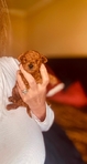 Teacup Poodles & Toy Poodle puppies