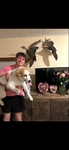 LOOKING TO REHOME!