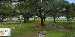 2 Burial Plots - Memory Gardens (Nederland)
