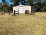 Revive Estate Sales- Clear The Barn Sale! Sat 9/13
