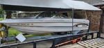 Chaparral 180 LE