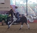 APHA Finished Barrel/Pole Mare