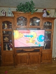 Entertainment stand/Curio