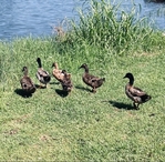 Thunder Lake RV Park