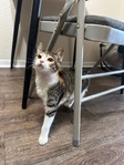 Looking to rehome!