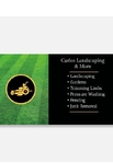 Carlos Landscaping