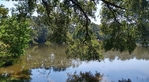 Lake front home on wooded lot