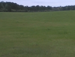 Free Hay - You Cut  / Bale