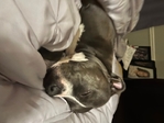 I’m looking for a forever home