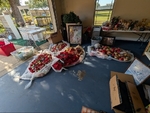 Garage / Moving Sale!