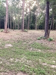 2 Wooded lots in Tubb Subdivision Warren Texas FOR SALE
