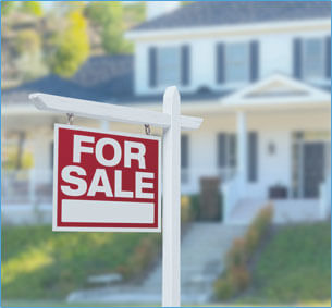 Real Estate